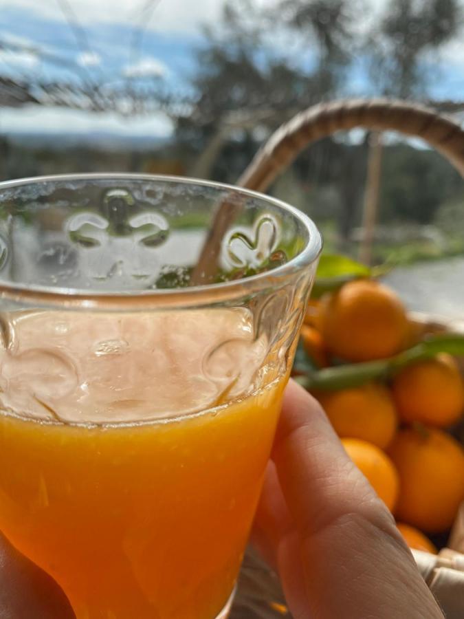 Espirito Cabana Tinalhas Luaran gambar